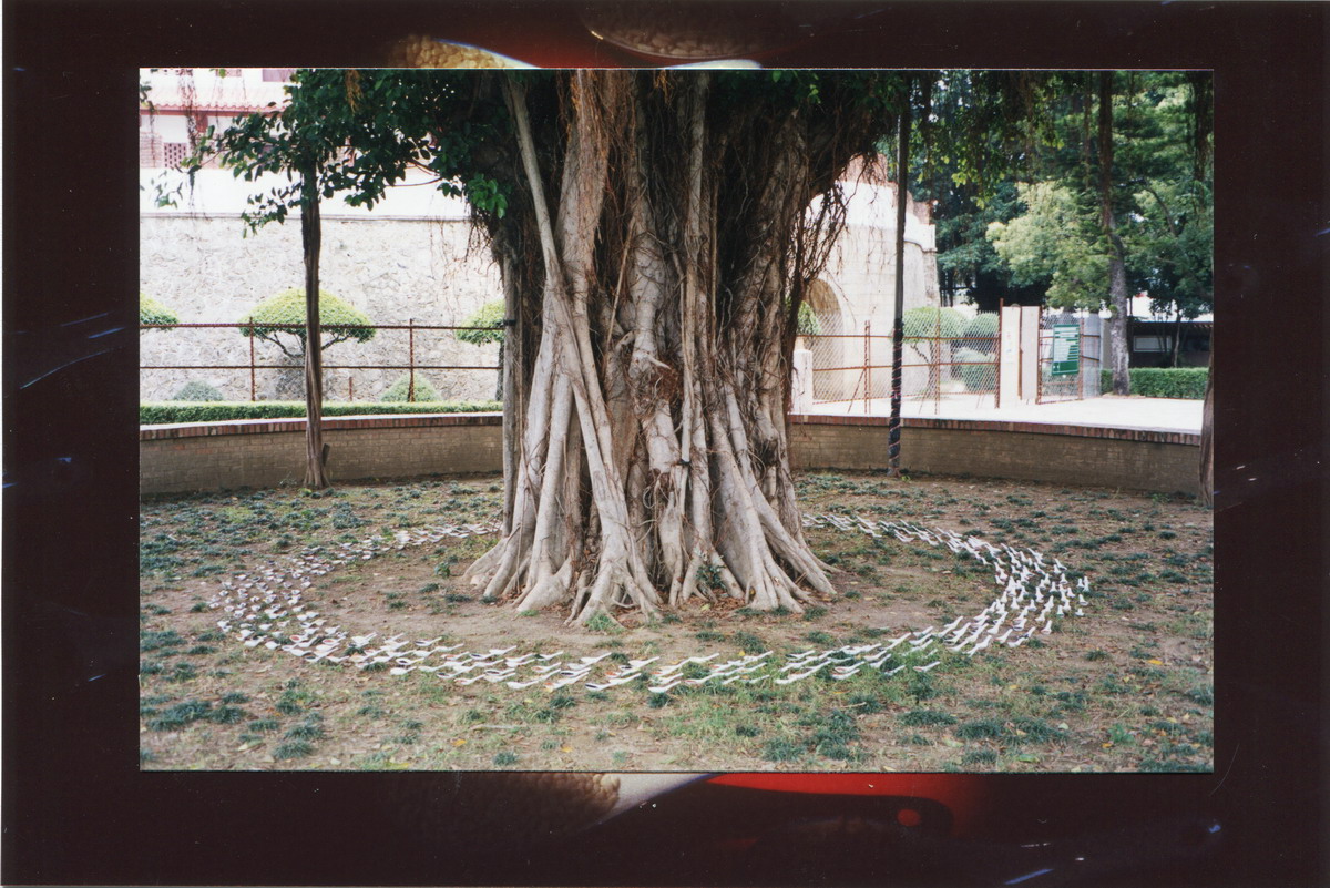 img026_縮小大小