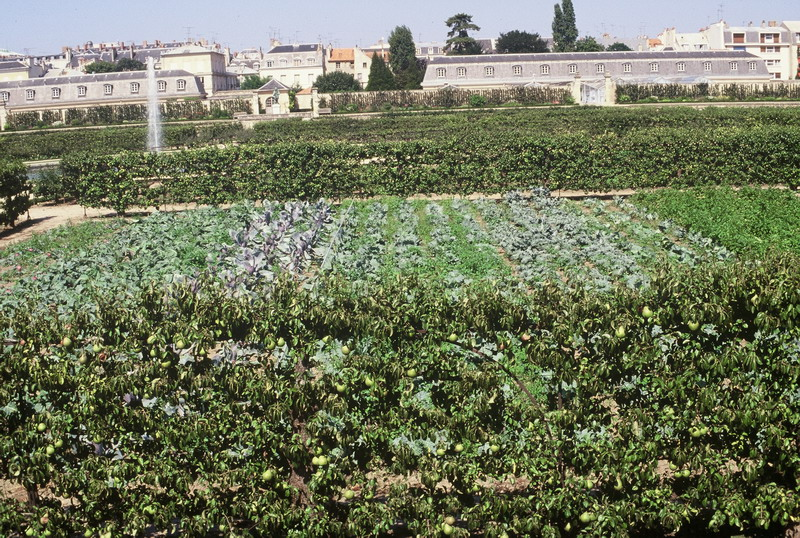011_potager_1997_09_resize