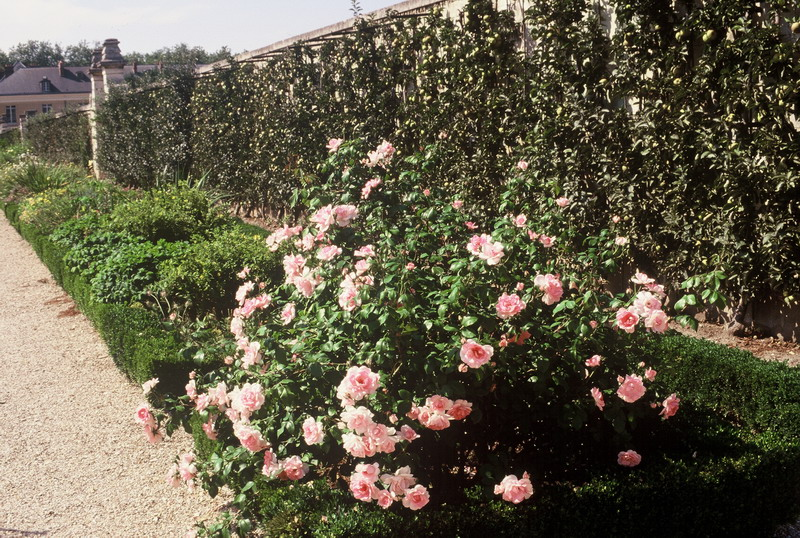 011_potager_1997_12_resize