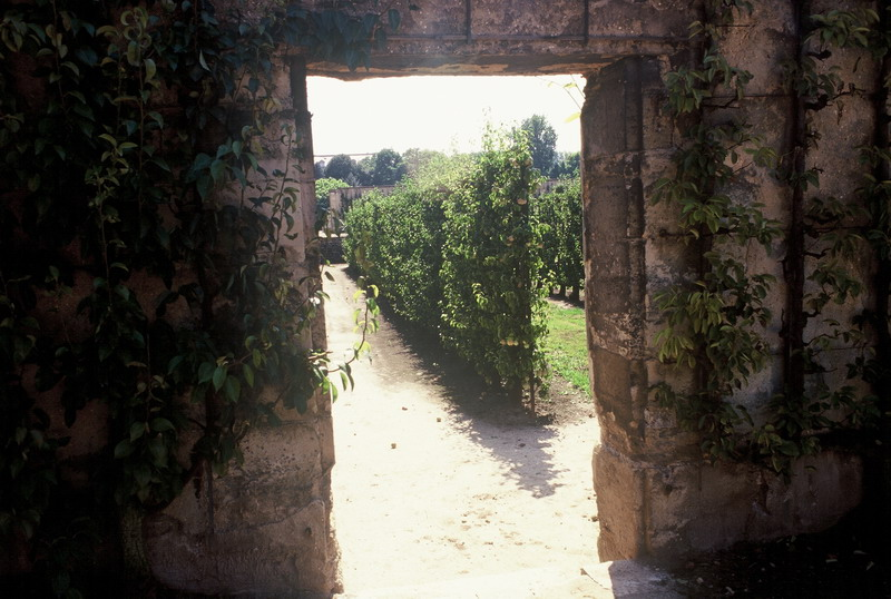 011_potager_1997_21_resize