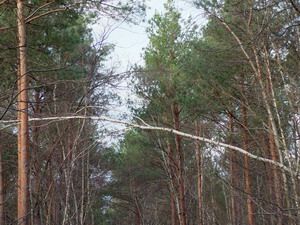dscf0007_4c06c92246e52
