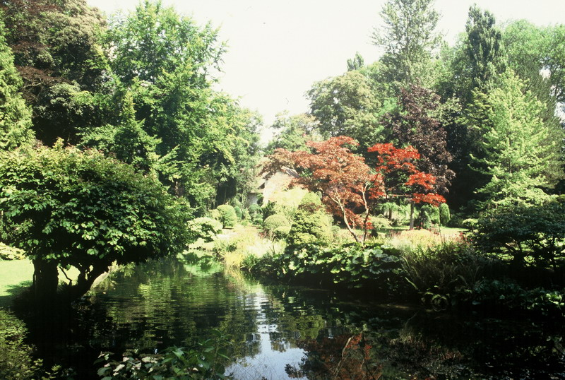015_resize_4c06c94a2583f