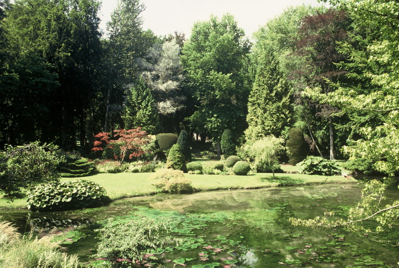 016_resize_4c06c94ac6cf0