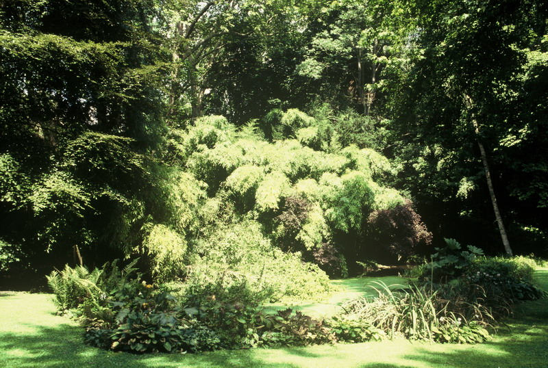 019_resize_4c06c94b781b5