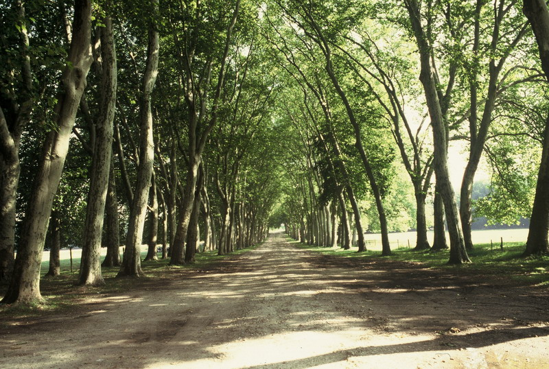 001_resize_4c06c94f353ae