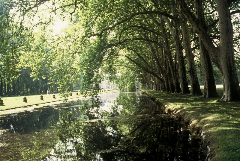 002_resize_4c06c94fdc608