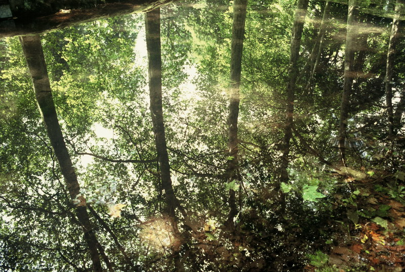 004_resize_4c06c95149791