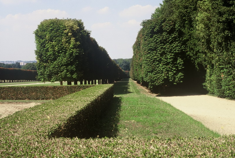 012_resize_4c06c956295c4