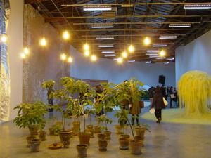 0006_michel_blazy_colletion_d_avocats_1997-2007