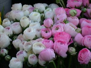 dscf5022