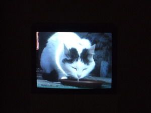 0011_fischli_et_weiss_busi_2001_video