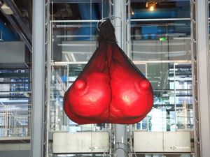0019_annette_messager_2007_la_ballade_de_pinochio_a_beaubourg