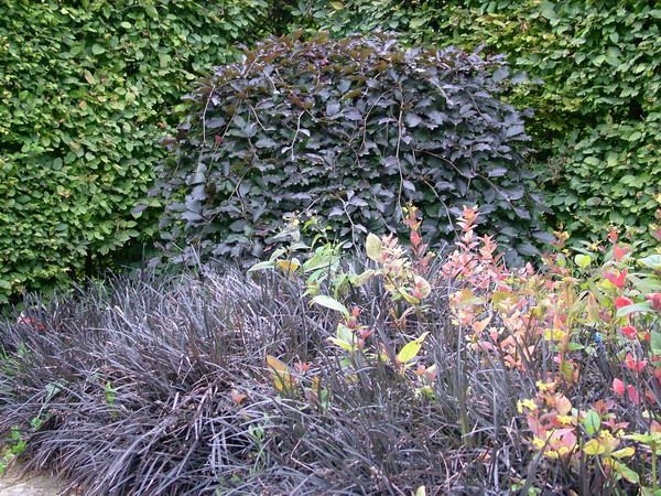 s031