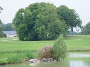 dscf0062_prairie_et_etang