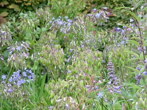 dscf0017_chambre_bleue