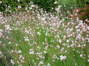 dscf0020_chambre_blanche
