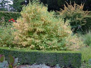 dscf0013_chambre_orange