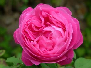 dscf0052