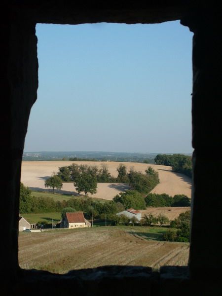 s019_4c06ca3971d03