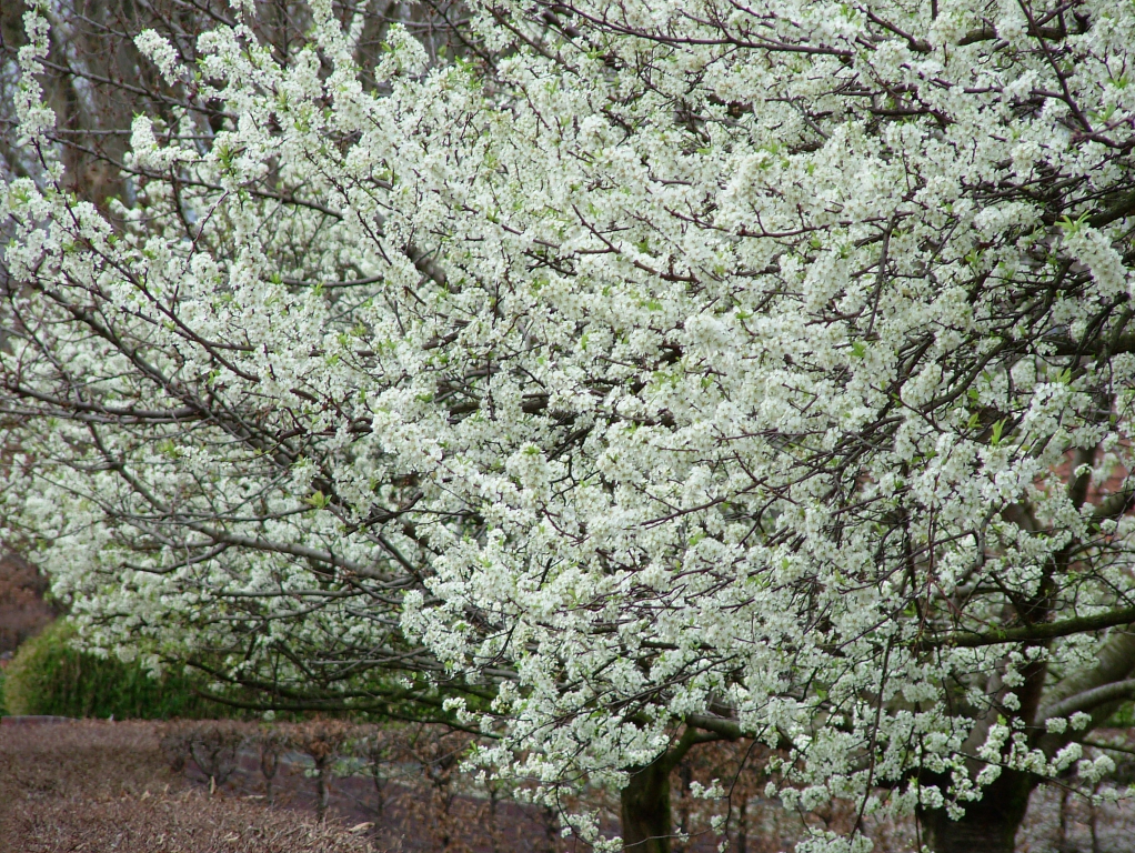 dscf9107
