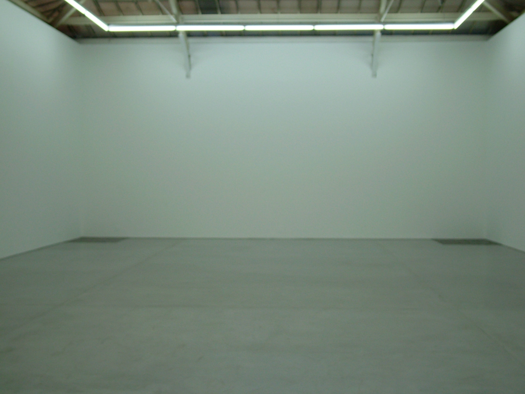 s025_carl_andre_2008_iron
