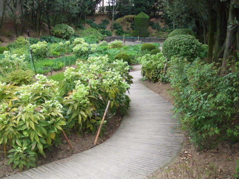008_jardin_vert_resize