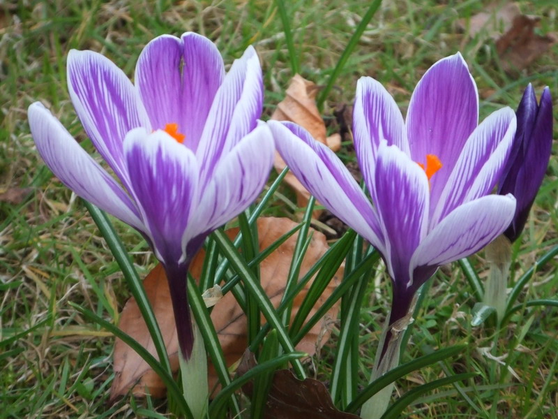 n007_resize