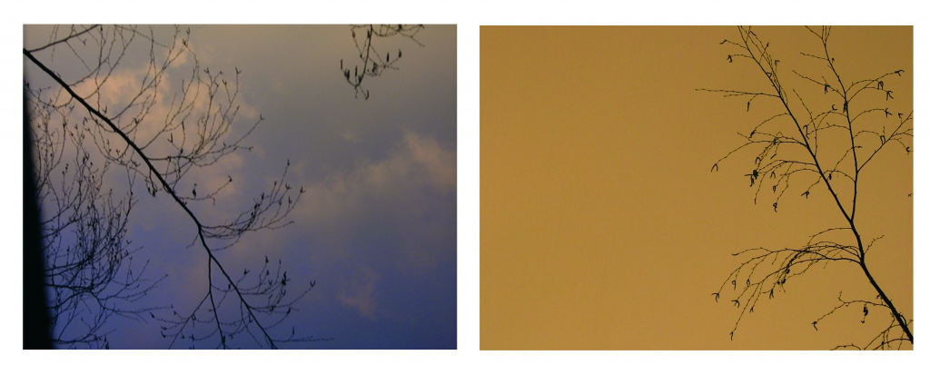 e_009_ciel_1