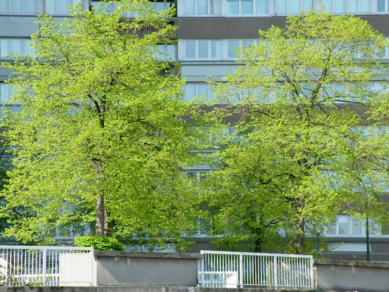 0029_resize