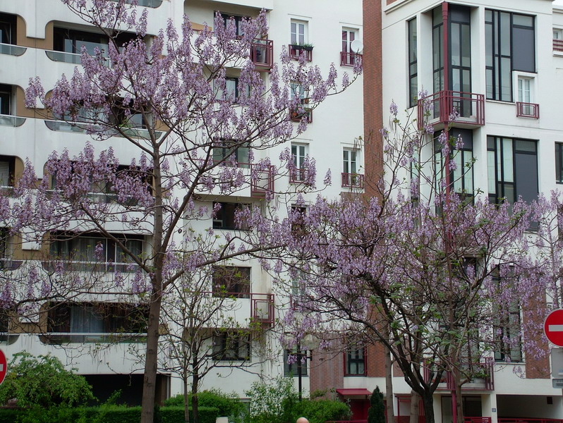 0030_resize