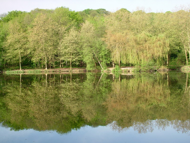 0019_resize