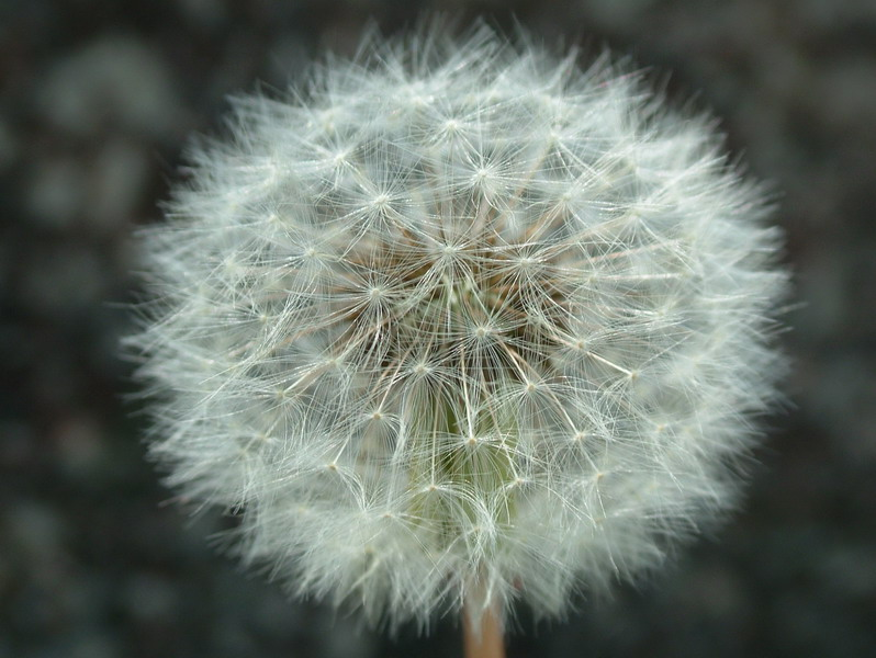 0018_resize