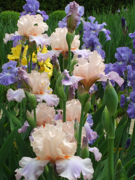 n1004_resize
