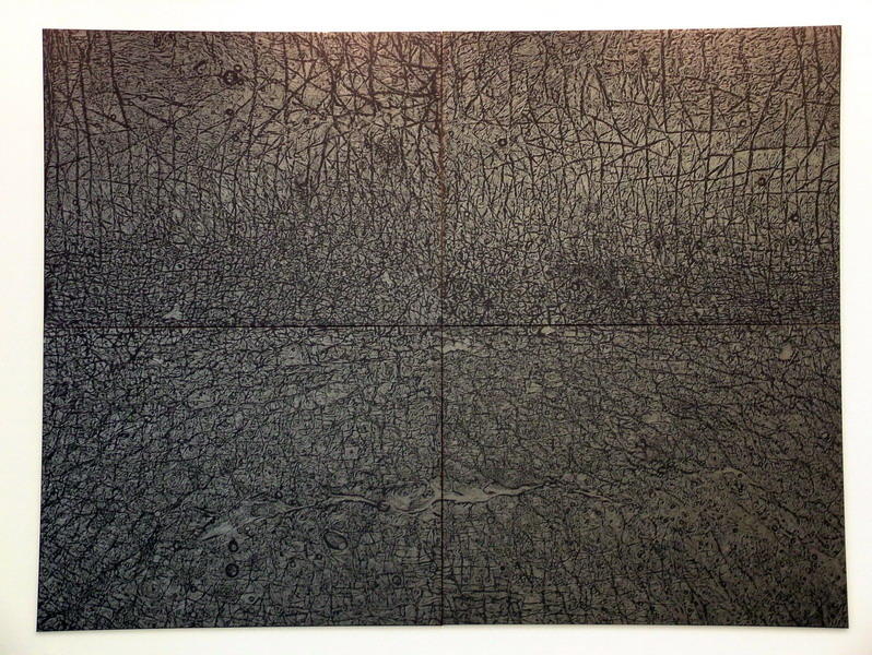 0035_giuseppe_penone_03-06_peau_de_graphite_-_reflet_de_rodonite_300x400cm_resize