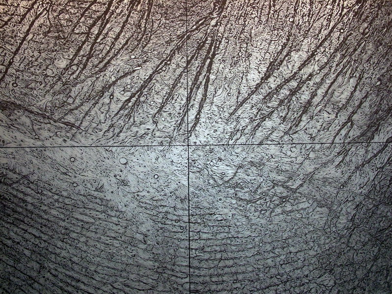 0034_giuseppe_penone_03-06_peau_de_graphite_-_reflet_de_rodonite_300x400cm_resize