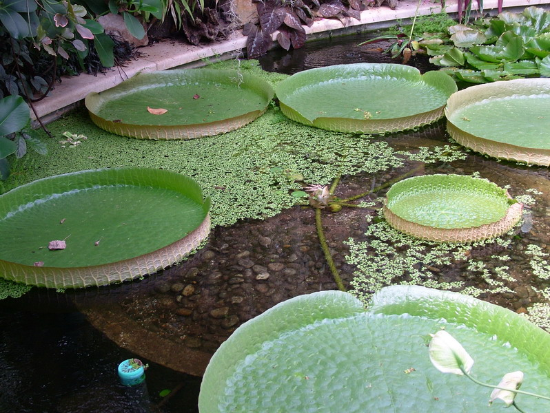 0048_caen_jardin_des_plantes_resize
