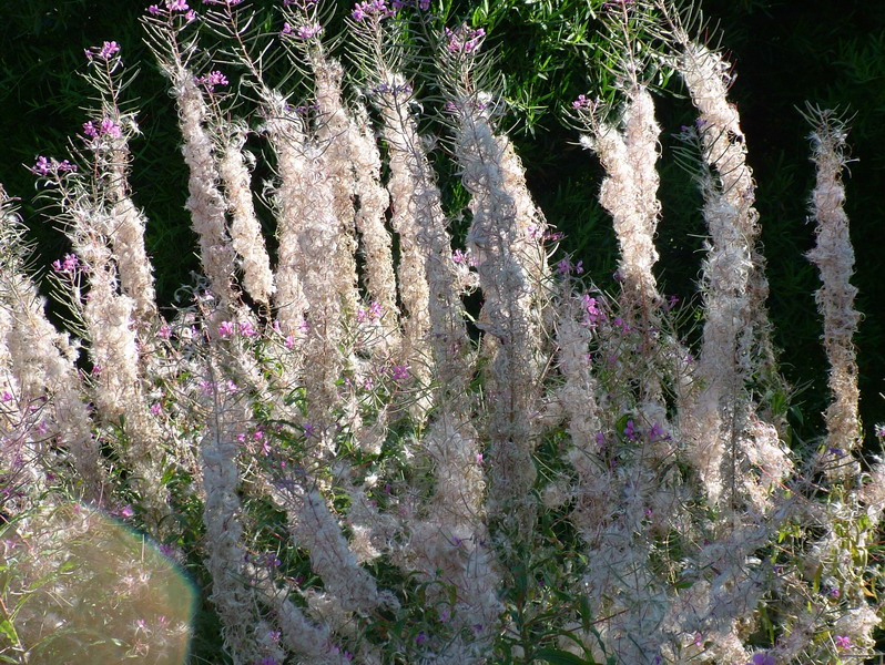 dscf0016_resize
