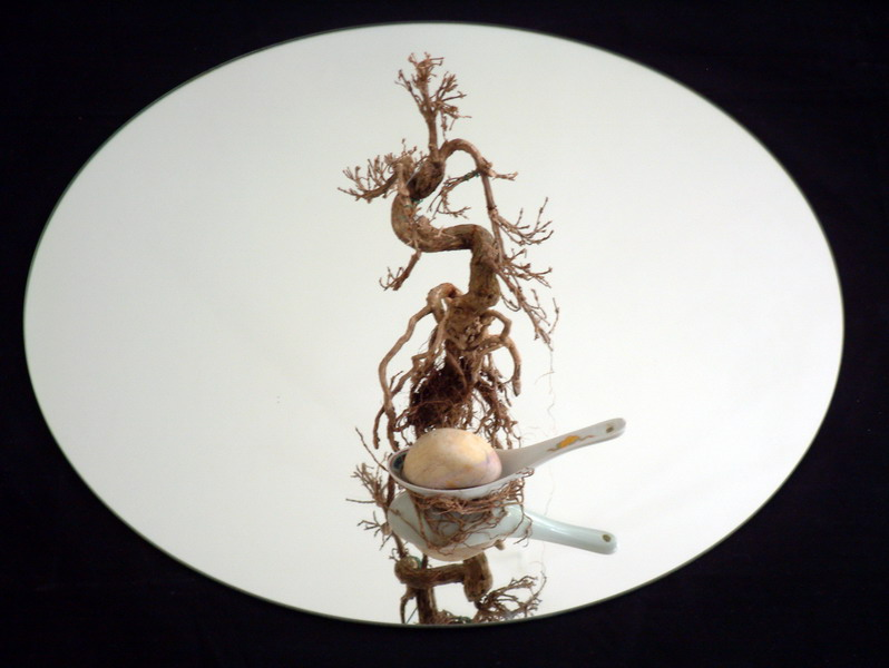 art_51_p1_resize