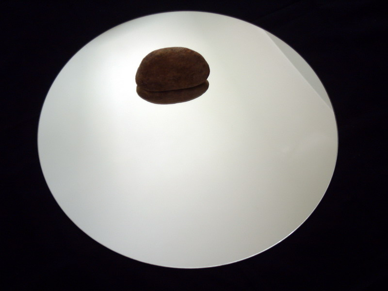 210333aa_exposure_resize