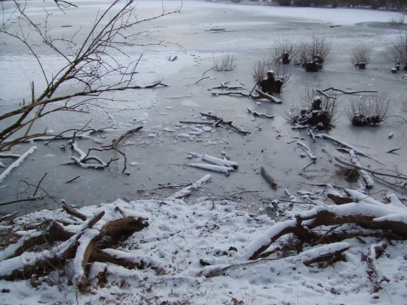 dscf4132_resize