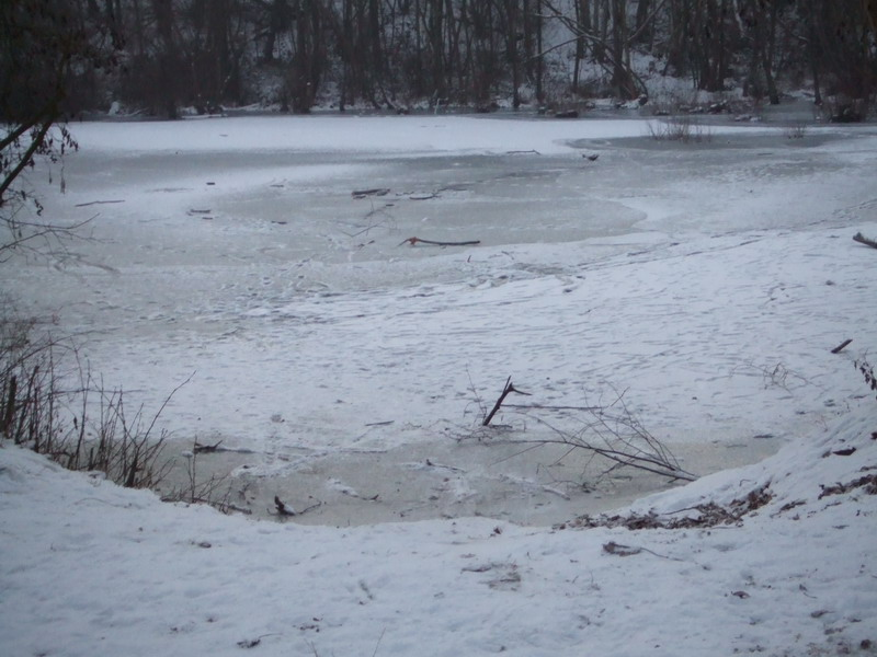 dscf4130_resize