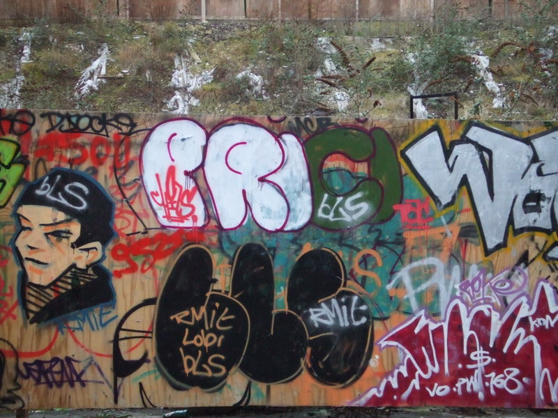 0043_resize
