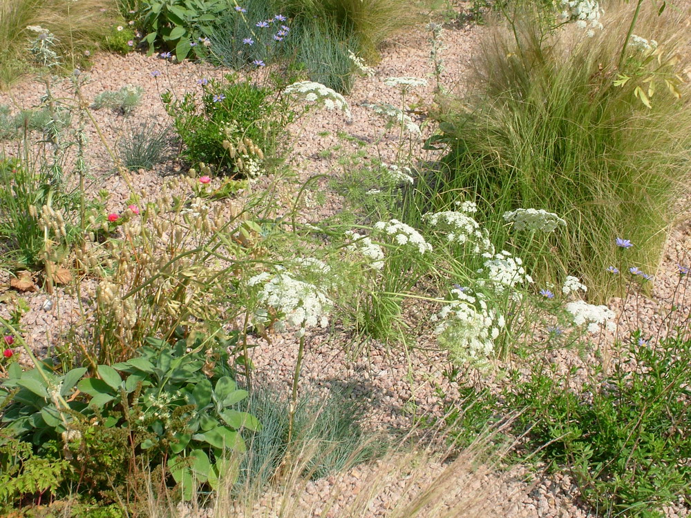 DSCF3850_resize.png