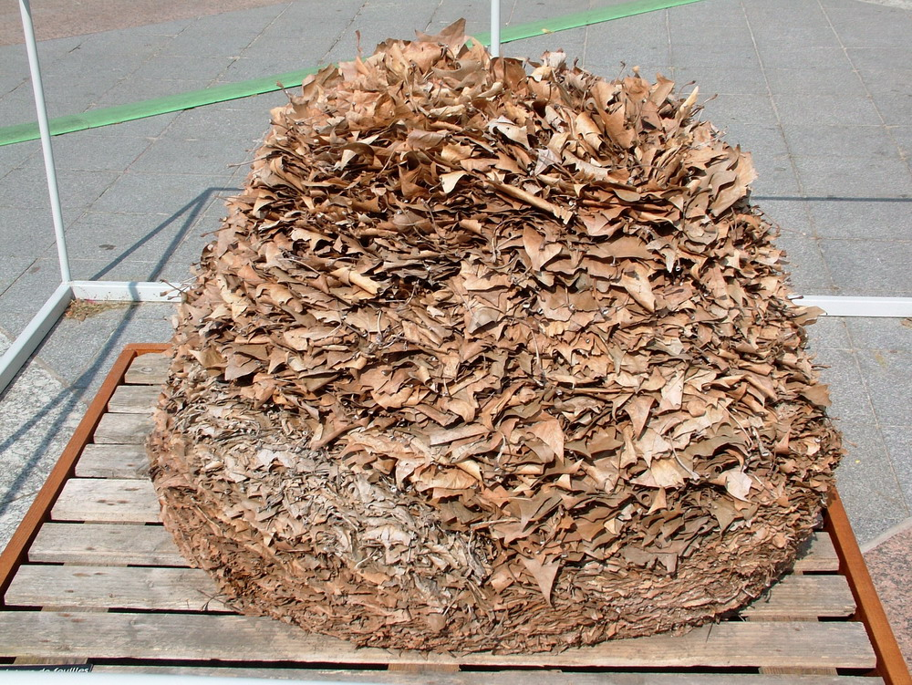 DSCF3851_resize.png
