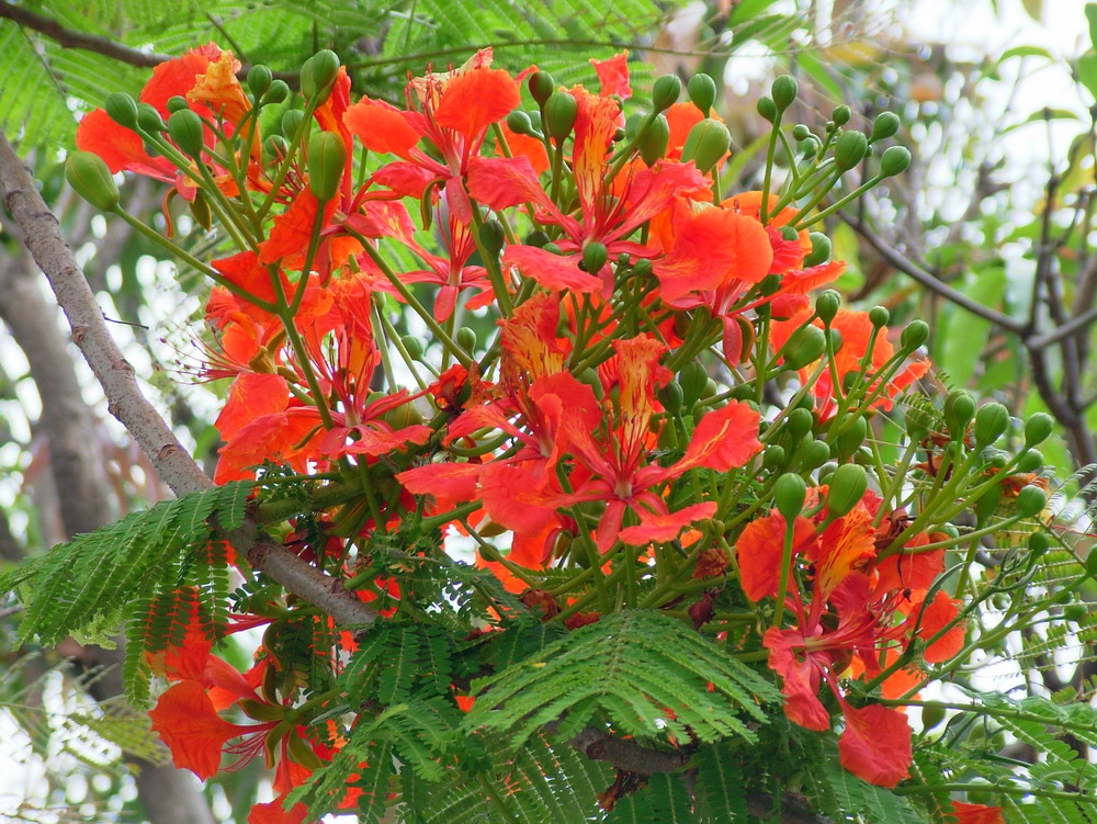 dscf2496_resize