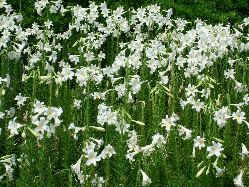 dscf2495_resize