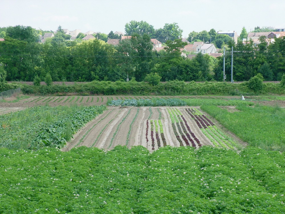 DSCF3898_resize.png