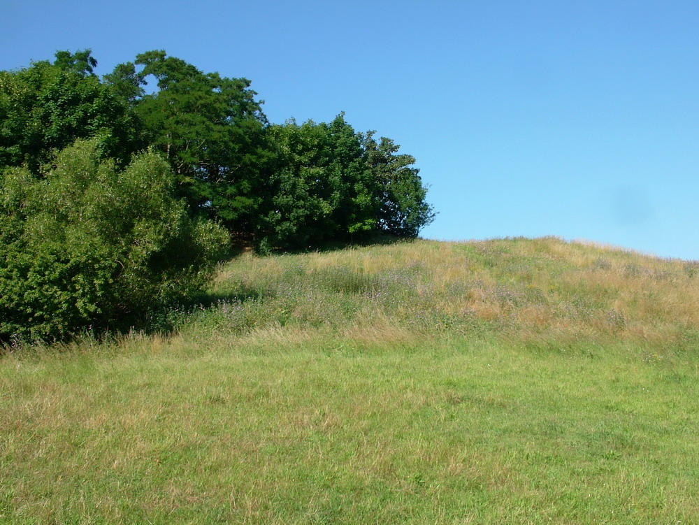 03DSCF3891_resize