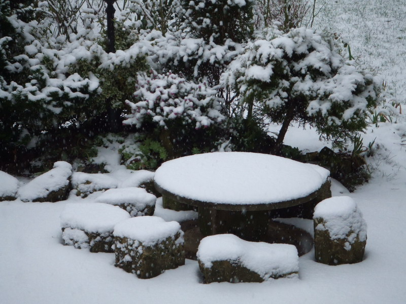 DSCF4115_resize.png