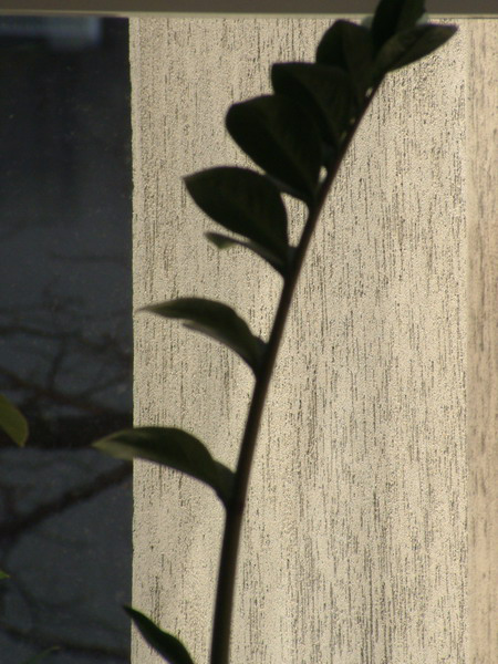 n006_resize